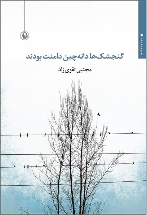 تصویر جلد کتاب «گنجشک‌ها دانه‌چین دامنت بودند» نوشته‌ی مجتبی تقوی‌زاد